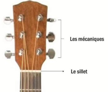 Anatomie de la Guitare : De quoi est composé votre instrument ? (Guide Électrique, Classique et Folk )